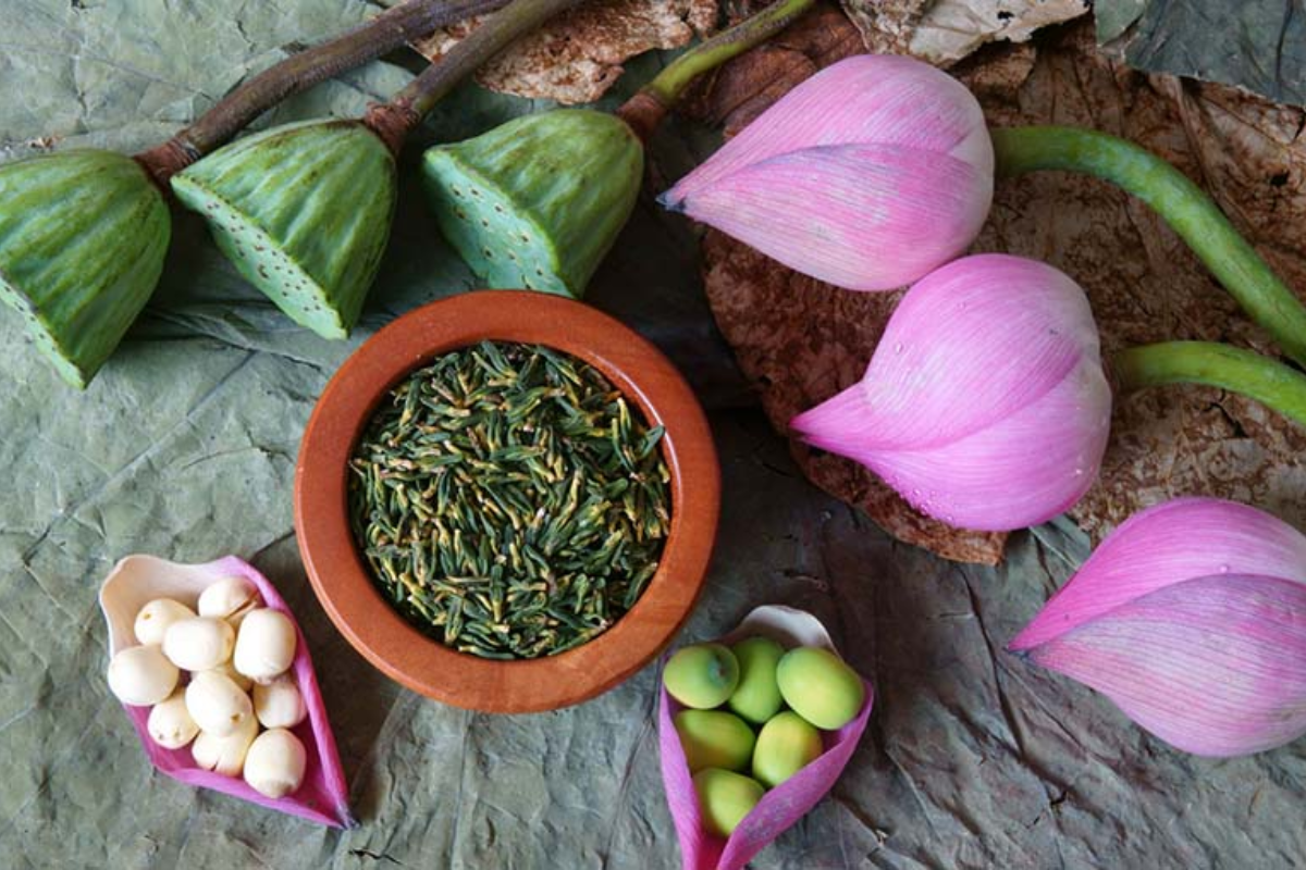 cây thuốc hỗ trợ điều trị rối loạn thân kinh thực vật
