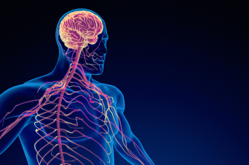 các mức độ trầm cảm