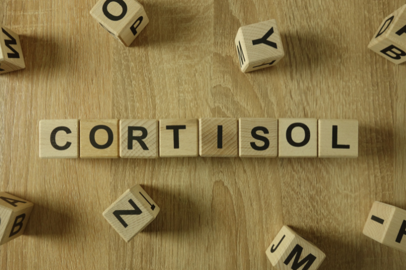 stress làm tăng cortisol