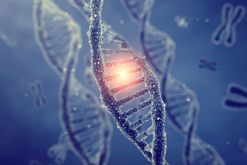 rối loạn nhân cách ranh giới