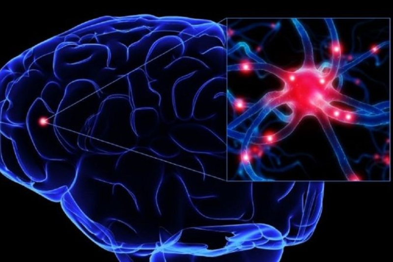 Rối loạn thần kinh thực vật