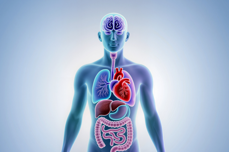 rối loạn thần kinh thực vật