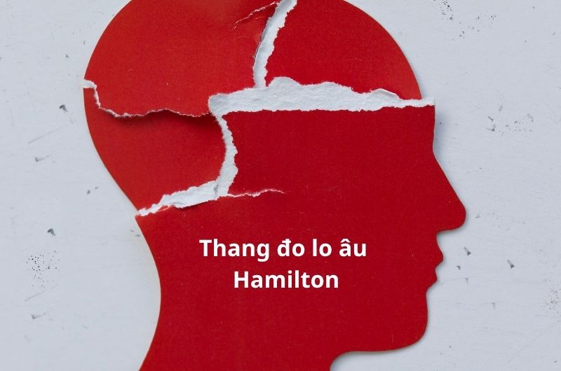 Thang đo Hamilton (Hamilton Anxiety Rating Scale - HAM-A) là một trong những công cụ lâm sàng đầu tiên và được sử dụng phổ biến nhất trên thế giới để đánh giá mức độ nghiêm trọng của các triệu chứng lo âu.
