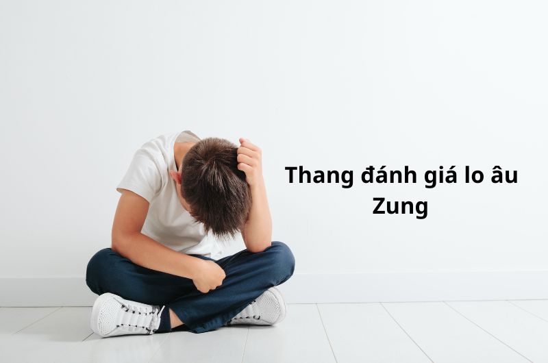Thang đo bao gồm 20 câu hỏi khảo sát các triệu chứng lo âu về cả mặt tâm lý và thực thể