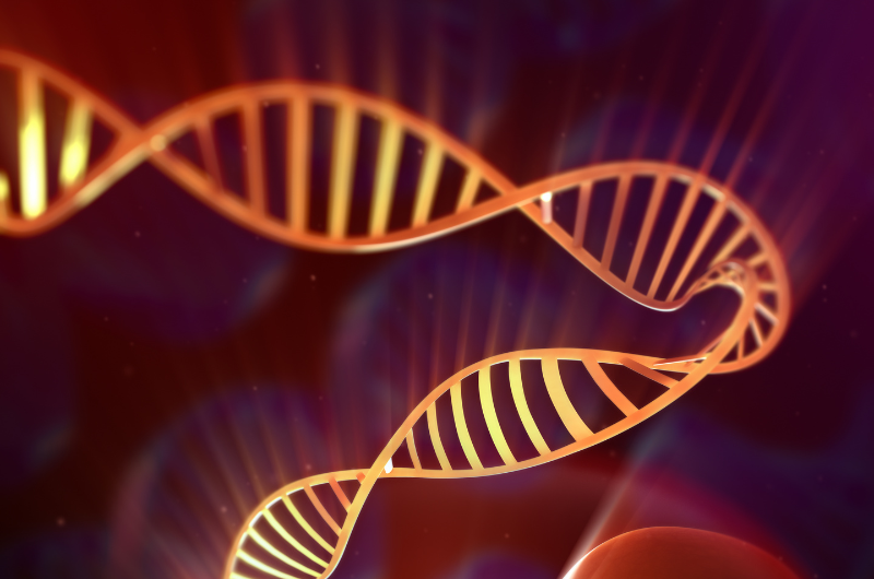 yếu tố di truyền và sinh học tác động đến khả năng mắc bệnh