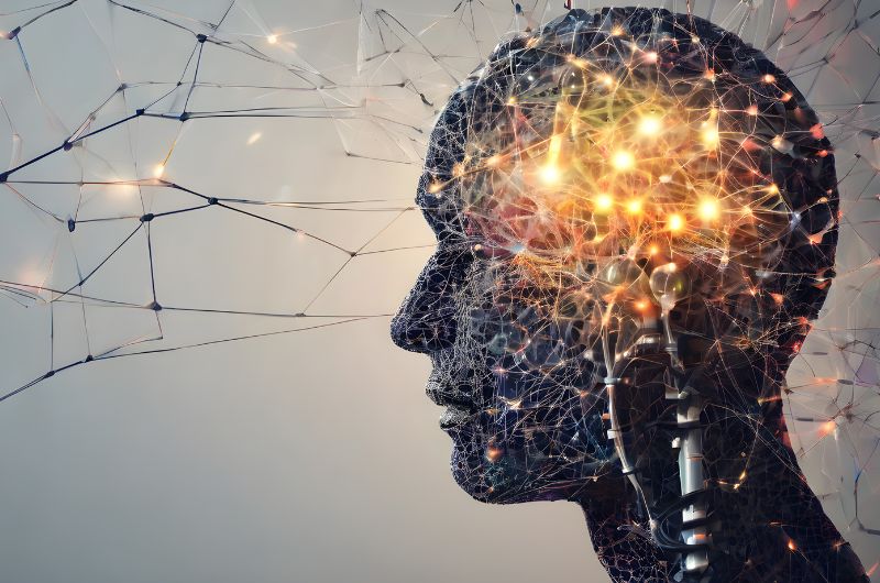 mối liên hệ giữa não bộ và hệ tiêu hóa